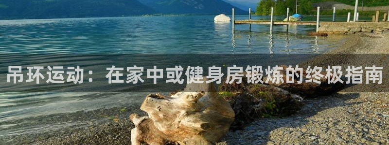 富联建工：吊环运动：在家中或健身房锻炼的终极指南