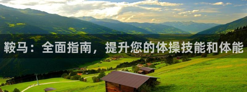 富联平台意 411o31 平台：鞍马：全面指南，提升