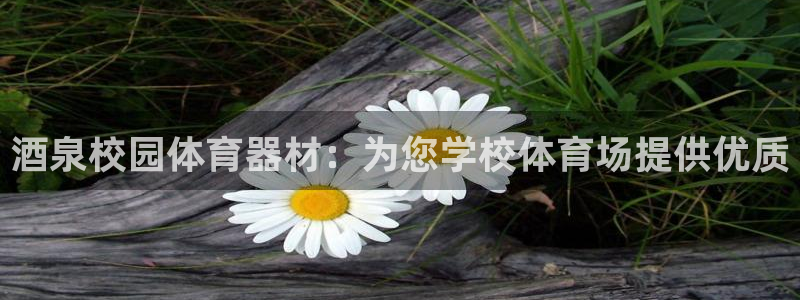 富联平台登录注册账号：酒泉校园体育器材：为您学校体育