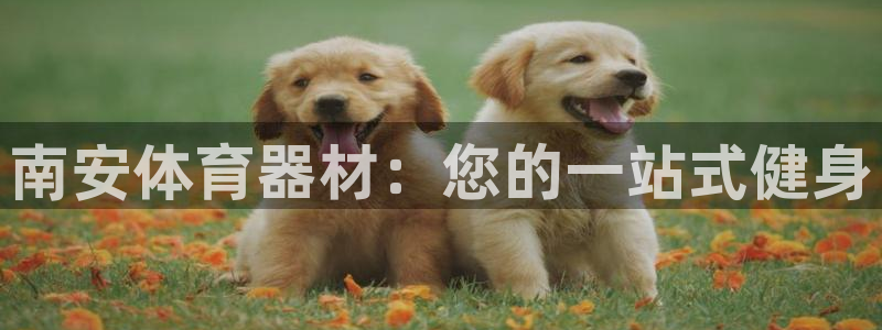 富联官方网站：南安体育器材：您的一站式健身