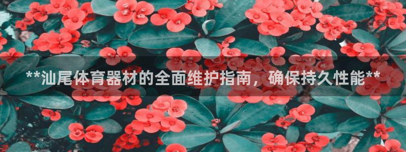富联平台先选 58534I 富联：**汕尾体育器材的
