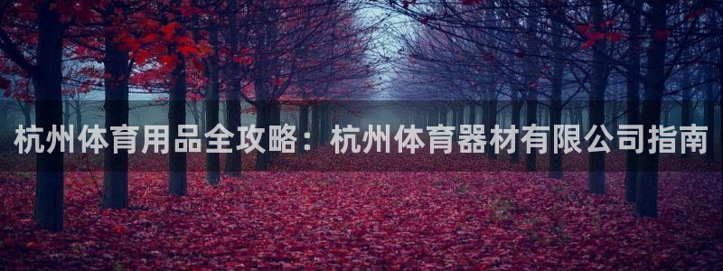 富联平台注册登录入口：杭州体育用品全攻略：杭州体育器