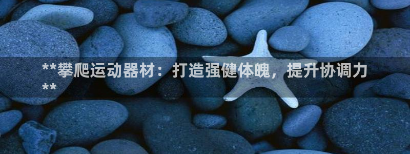 富联娱乐测速地址查询：**攀爬运动器材：打造强健体魄