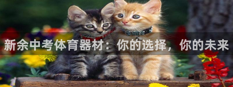富联劳务：新余中考体育器材：你的选择，你的未来