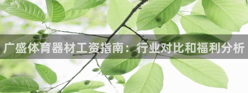 富联娱乐是真的吗：广盛体育器材工资指南：行业对比和福