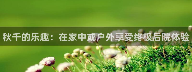 富联地产怎么样知乎：秋千的乐趣：在家中或户外享受终极