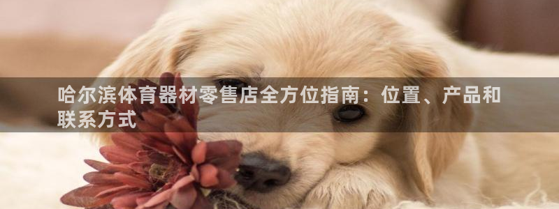 富联官方网站入口网址是多少：哈尔滨体育器材零售店全方