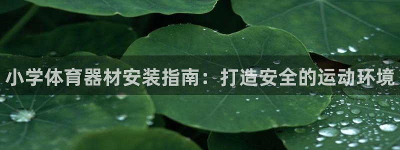 富联娱乐合作 58534I 娱乐：小学体育器材安装指