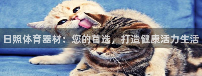 富联集团董事长：日照体育器材：您的首选，打造健康活力