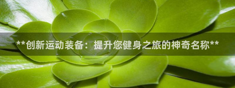 富联申购是什么股票：**创新运动装备：提升您健身之旅