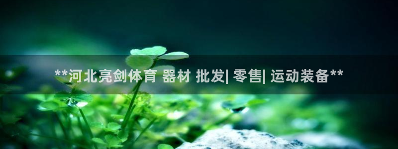 富联平台官网登录不了：**河北亮剑体育 器材 批发|
