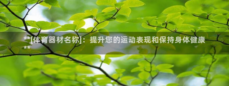 富联集团最新消息：**[体育器材名称]：提升您的运动