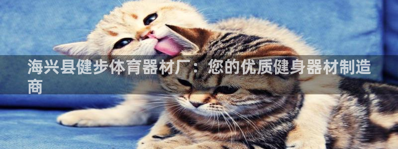 富联娱乐是什么时候开的店：海兴县健步体育器材厂：您的