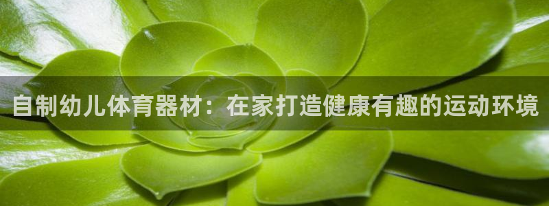 富联平台认可 585.34I 富联：自制幼儿体育器材