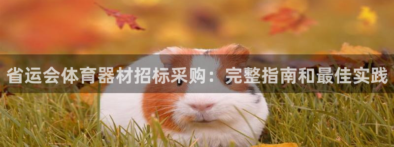 富联娱乐测速地址：省运会体育器材招标采购：完整指南和