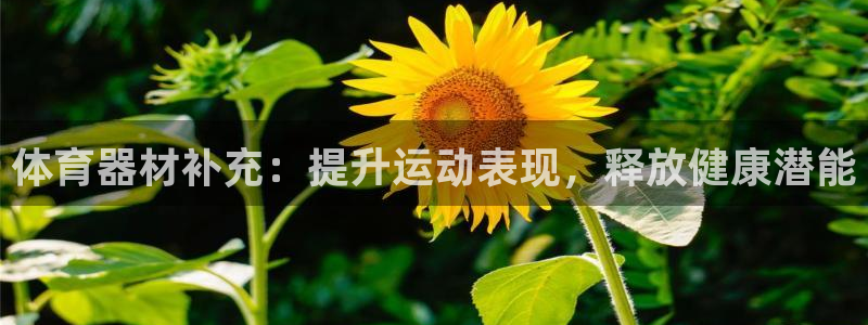 富联娱乐在线注册链接是什么软件：体育器材补充：提升运