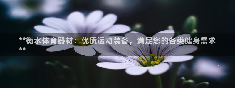 富联娱乐会员：**衡水体育器材：优质运动装备，满足您