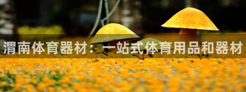 富联平台代理注册要钱吗：渭南体育器材：一站式体育用品