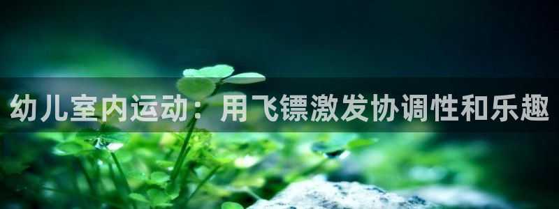 富联申购上市价格预测最新：幼儿室内运动：用飞镖激发协