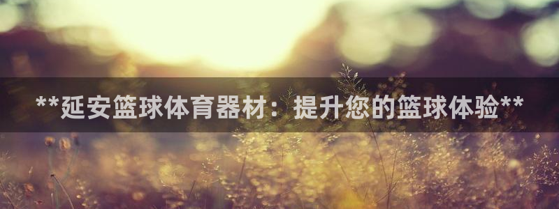 富联平台官网登录入口下载：**延安篮球体育器材：提升