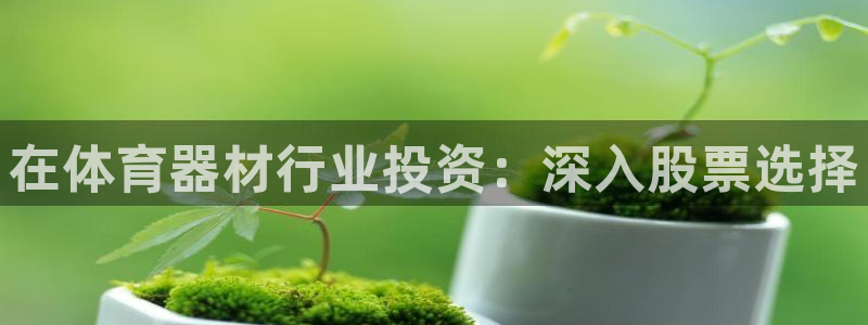 富联平台开户流程：在体育器材行业投资：深入股票选择