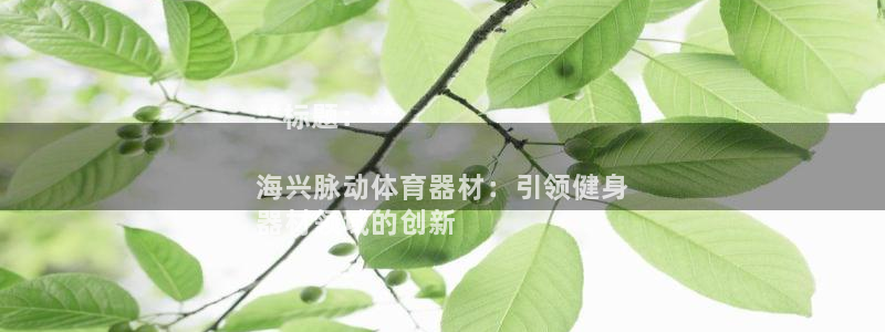 富联展示中心：**标题：**

海兴脉动体育器材：引