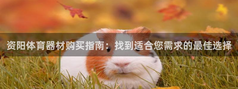 富联平台寇 37oo735：资阳体育器材购买指南：找