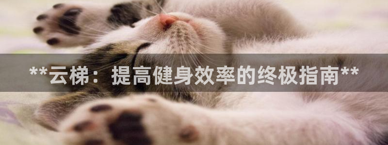 富联娱乐登录地址在哪里：**云梯：提高健身效率的终极