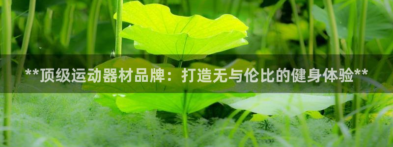 富联平台某7O777：**顶级运动器材品牌：打造无与