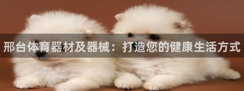 富联平台登录网址是多少：邢台体育器材及器械：打造您的