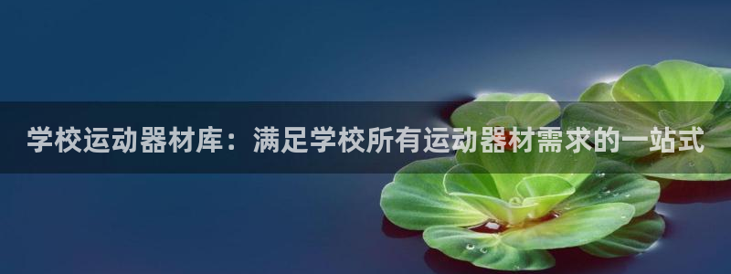 富联娱乐平台能挣到钱吗现在：学校运动器材库：满足学校