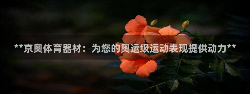 富联申购上市价格预测表：**京奥体育器材：为您的奥运