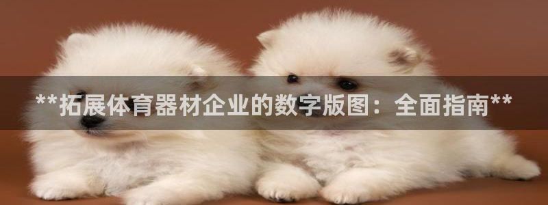 富联娱乐服务站地址：**拓展体育器材企业的数字版图：