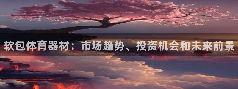 富联娱乐老板叫什么：软包体育器材：市场趋势、投资机会