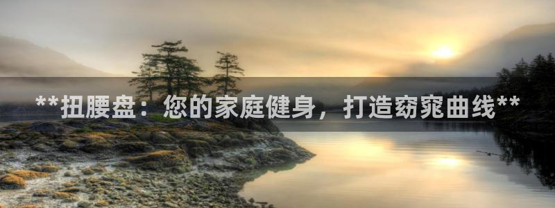 富联官网注册不了账号吗：**扭腰盘：您的家庭健身，打