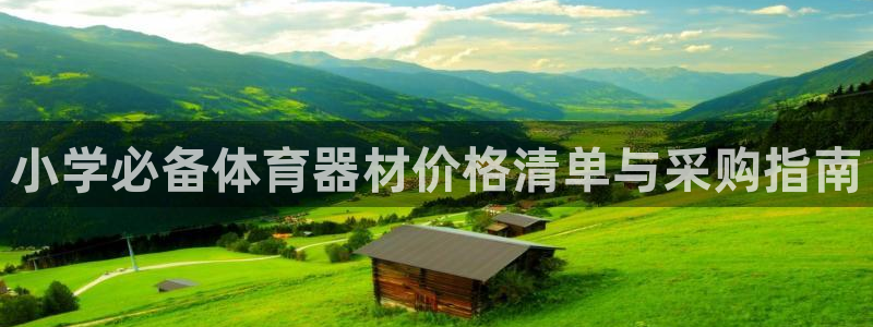 富联官网丁6.7.5.1.3.8：小学必备体育器材价