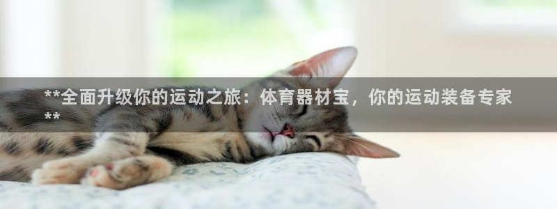 富联娱乐是什么时候开的店：**全面升级你的运动之旅：