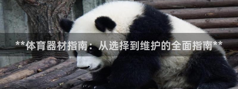 富联平台推荐 37oo735：**体育器材指南：从选