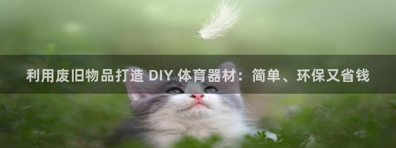 富联丰地产怎么样：利用废旧物品打造 DIY 体育器材