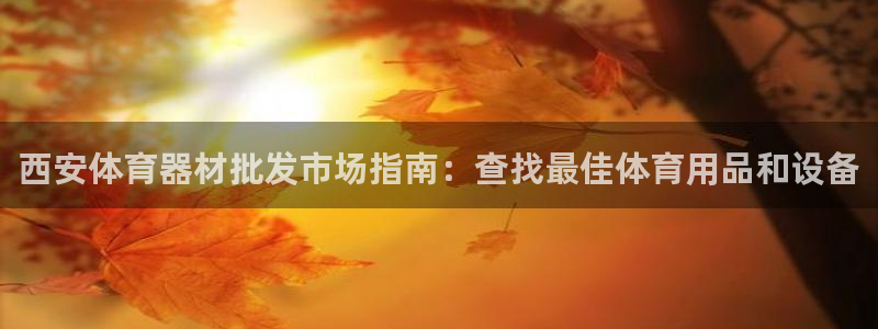 富联官方网站入口网址是什么：西安体育器材批发市场指南