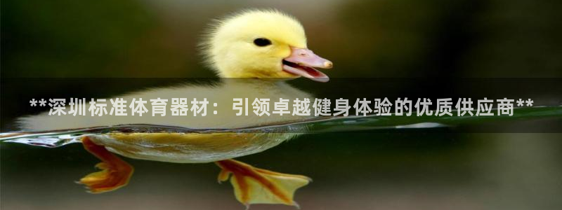 富联娱乐价7O777：**深圳标准体育器材：引领卓越
