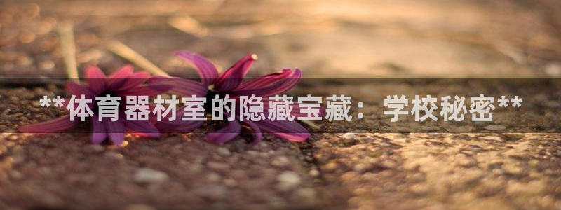 富联平台寇 37oo735：**体育器材室的隐藏宝藏