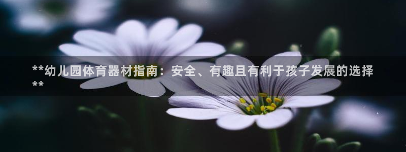 富联平台是什么平台：**幼儿园体育器材指南：安全、有