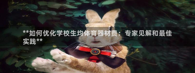 富联平台开户流程：**如何优化学校生均体育器材费：专家见解和