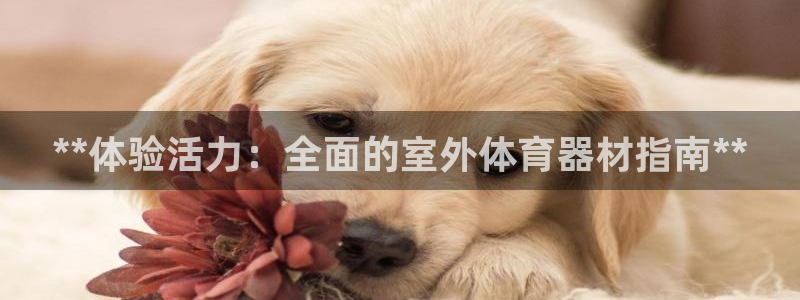 富联娱乐注册7o777皓：**体验活力：全面的室外体育器材指