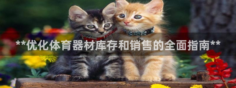 富联娱乐正规吗可信吗：**优化体育器材库存和销售的全