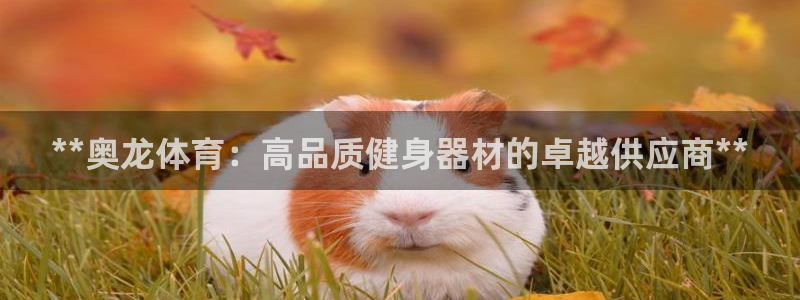 富联超市：**奥龙体育：高品质健身器材的卓越供应商*