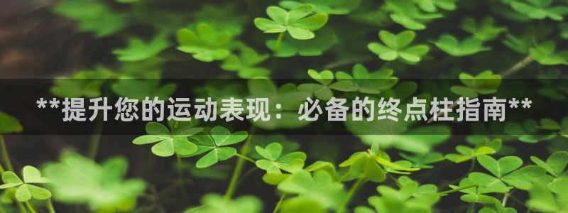 富联集团做什么的呀：**提升您的运动表现：必备的终点
