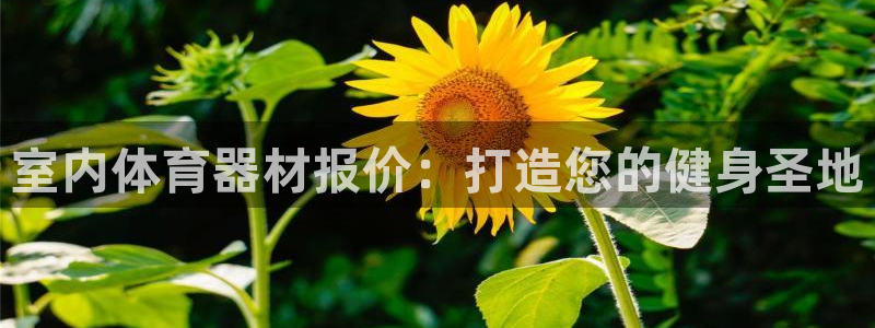富联文体：室内体育器材报价：打造您的健身圣地
