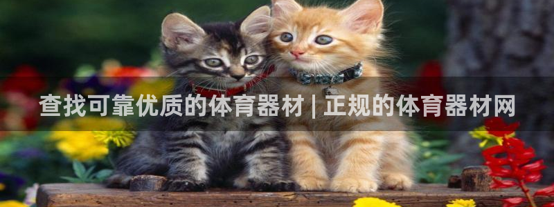 富联娱乐登录注册入口官网网址是什么：查找可靠优质的体